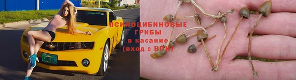 первитин Армянск