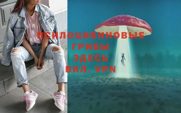 первитин Армянск